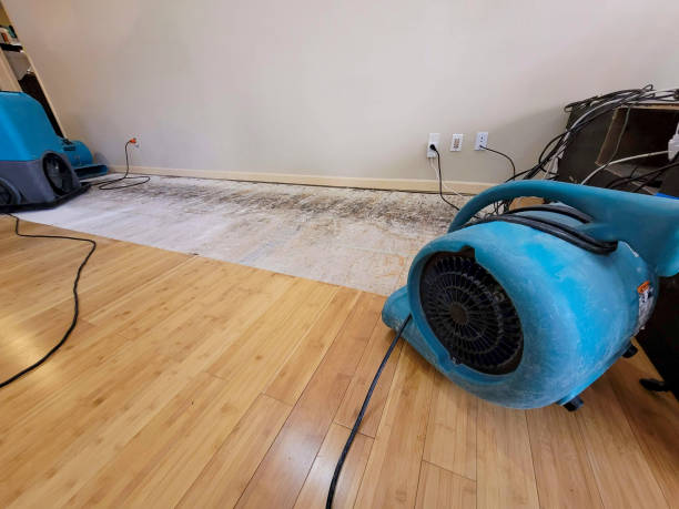 Professional Burst Pipe Water Damage technician working in Hundred, WV