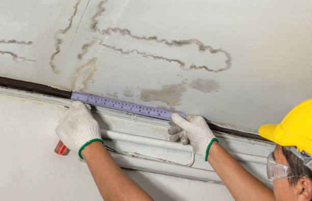 Affordable Burst Pipe Water Damage solutions in Hundred, WV